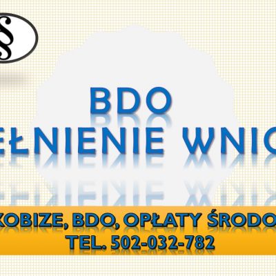 Szkolenie indywidualne BDO, Kobize, tel. 502-032-782 oraz opłaty za środowisko, pomoc