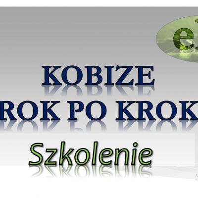 Szkolenie indywidualne BDO, Kobize, tel. 502-032-782 oraz opłaty za środowisko, pomoc