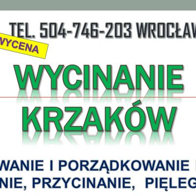 Wycinanie krzaków, cena, tel. 504-746-203. Karczowanie zarośli, Wrocław
