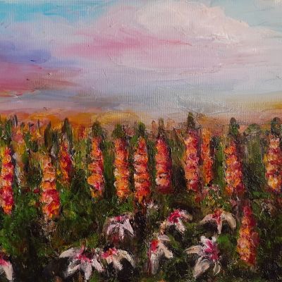 Kwiaty Polne – sprzedam obrazy olejne