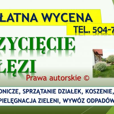 Wycięcie drzewa na działce, Wrocław, tel. 504-746-203. Ścięcie drzewa, podcięcie gałęzi