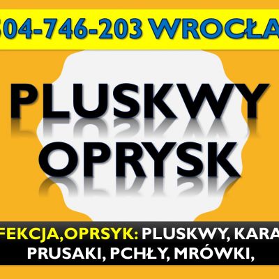 Odpluskwianie mieszkań Wrocław, tel. 504-746-203. Opryski i dezynfekcja na pluskwy
