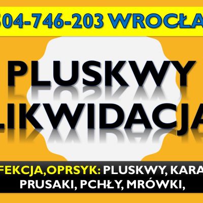Odpluskwianie mieszkań Wrocław, tel. 504-746-203. Opryski i dezynfekcja na pluskwy