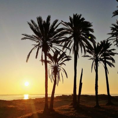 *Costa Blanca dla 2-osób… Palmy, Słońce, Plaża + Morze.