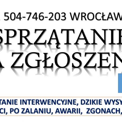 Sprzątanie, tel. 504-746-203, Wrocław, z podrzuconych śmieci i dzikich wysypisk.