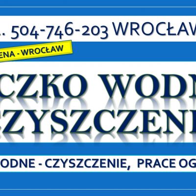 Czyszczenie oczek wodnych, Wrocław, tel. 504-746-203. Oczyszczenie oczka wodnego, cena.