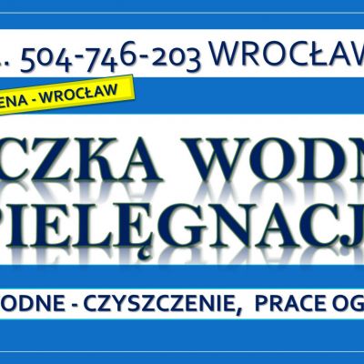 Czyszczenie oczek wodnych, Wrocław, tel. 504-746-203. Oczyszczenie oczka wodnego, cena.