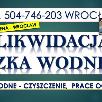 Likwidacja oczka wodnego, tel. 504-746-203. Wrocław. Zasypanie, oczko wodne, cena