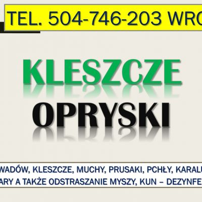Likwidacja kleszczy, Wrocław, tel. 504-746-203. Opryskiwanie na kleszcze, cennik