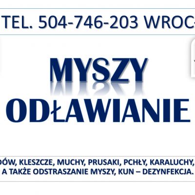 Likwidacja i odławianie myszy, tel. 504-746-203, Wrocław. Cennik zwalczanie myszy