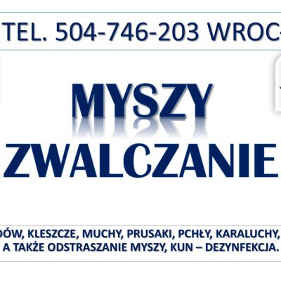 Likwidacja i odławianie myszy, tel. 504-746-203, Wrocław. Cennik zwalczanie myszy