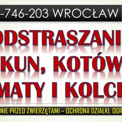 Zabezpieczenie i ochrona przed zwierzętami, tel. 504-746-203. Wrocław