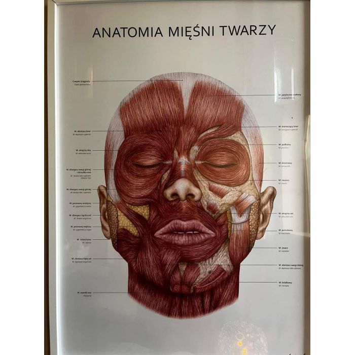 Masaż twarzy KOBIDO