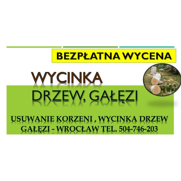 Usuwanie korzeni, cennik , tel. 504-746-203. Wrocław. Pni, pnia drzewa.