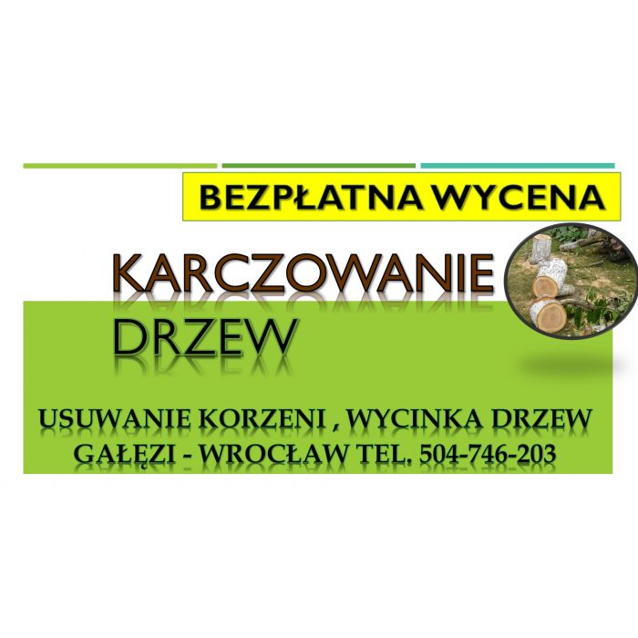 Usuwanie korzeni, cennik , tel. 504-746-203. Wrocław. Pni, pnia drzewa.