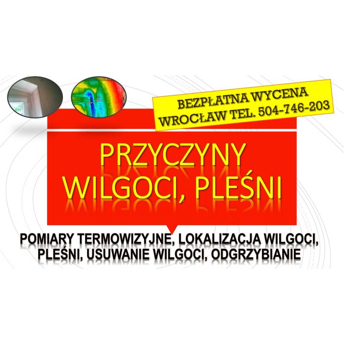 Wykrywanie i przyczyny wilgoci, Wrocław, tel. 504-746-203, cena. Grzyb na ścianie, usuwanie