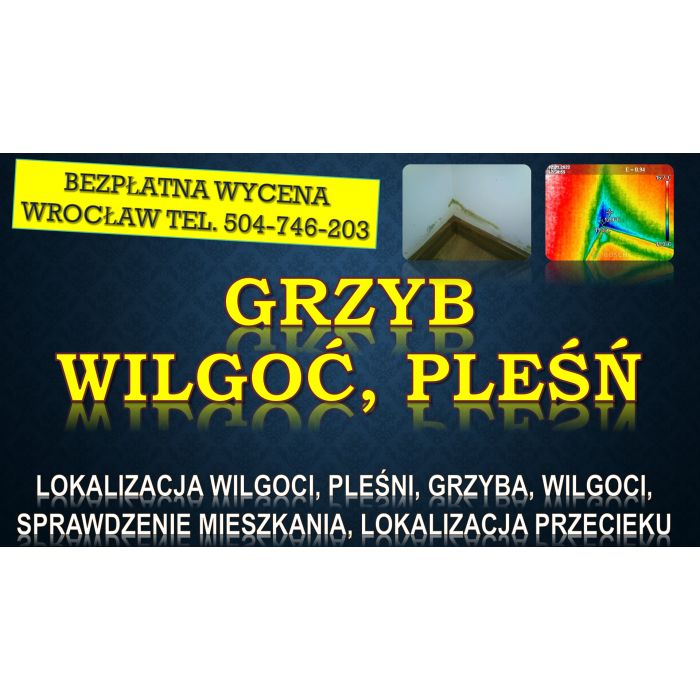 Odgrzybianie mieszkania, cena, tel. 504-746-203. Wrocław. Termowizja wilgoci