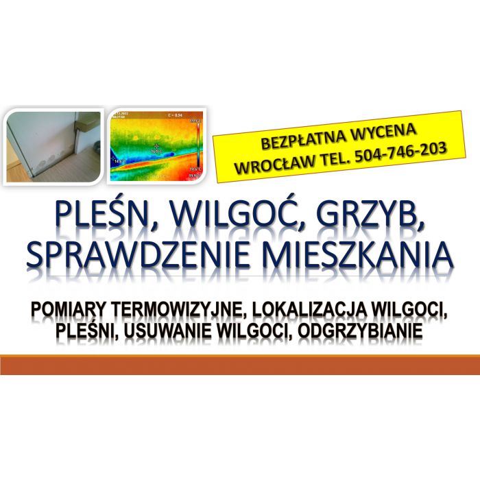 Wykrycie grzyba w mieszkaniu, tel. 504-746-203, Wrocław, lokalizacja pleśni i wilgoci