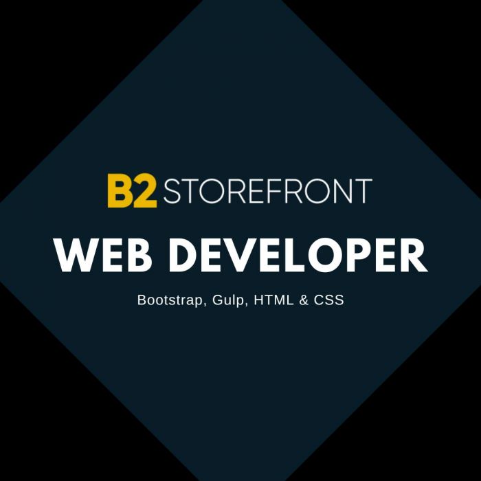 Programista JavaScript / Web Developer