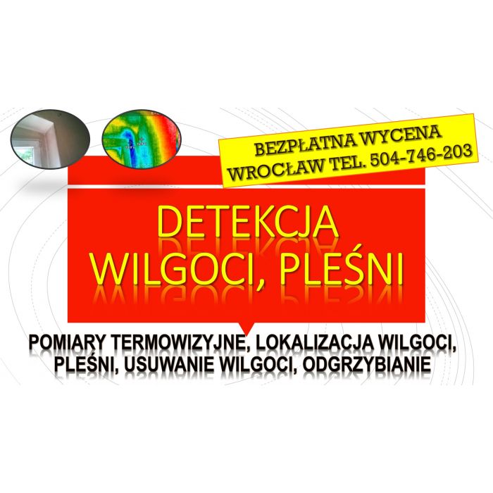 Wykrycie pleśni, tel. 504-746-203. Wrocław, wykrywanie, pleśń, lokalizacja, cennik
