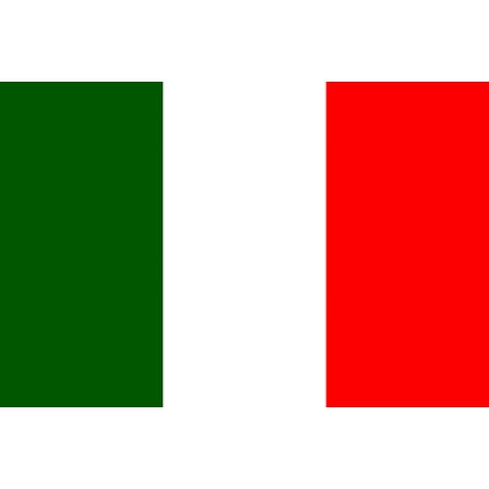 Tłumacz ustny języka włoskiego