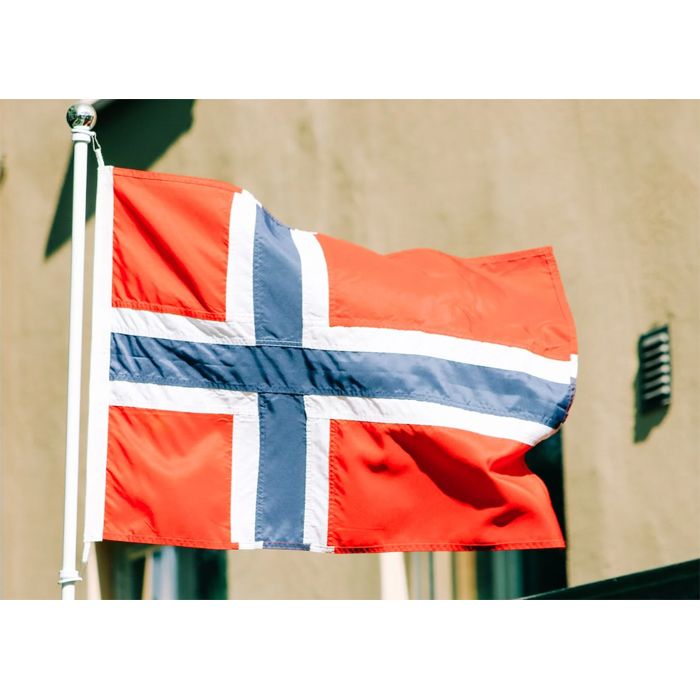 Tłumaczenia odpisów z norweskiego rejestru przedsiębiorstw