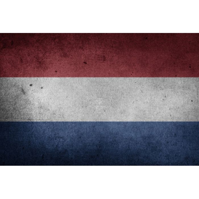 Tłumaczenia zaświadczeń o niekaralności z języka niderlandzkiego