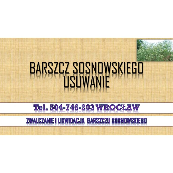 Likwidacja barszczu Sosnowskiego, tel. 504-746-203, utylizacja, usunięcie, cennik