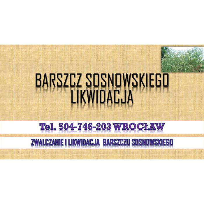 Likwidacja barszczu Sosnowskiego, tel. 504-746-203, utylizacja, usunięcie, cennik