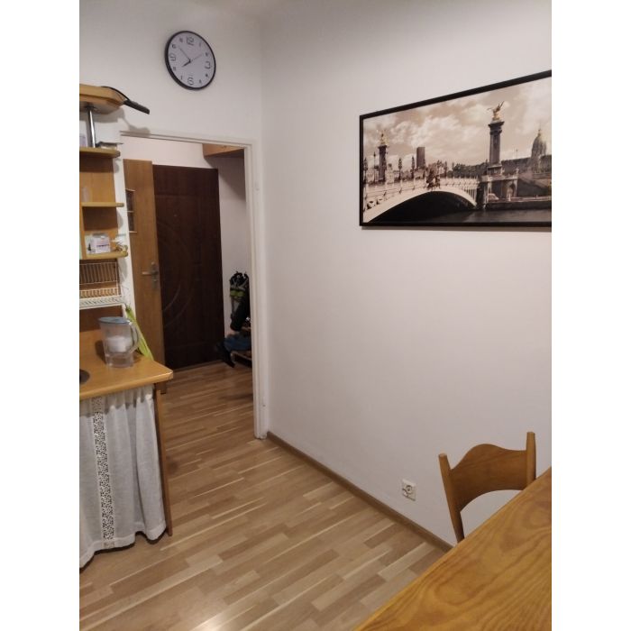 kawalerka na wynajem