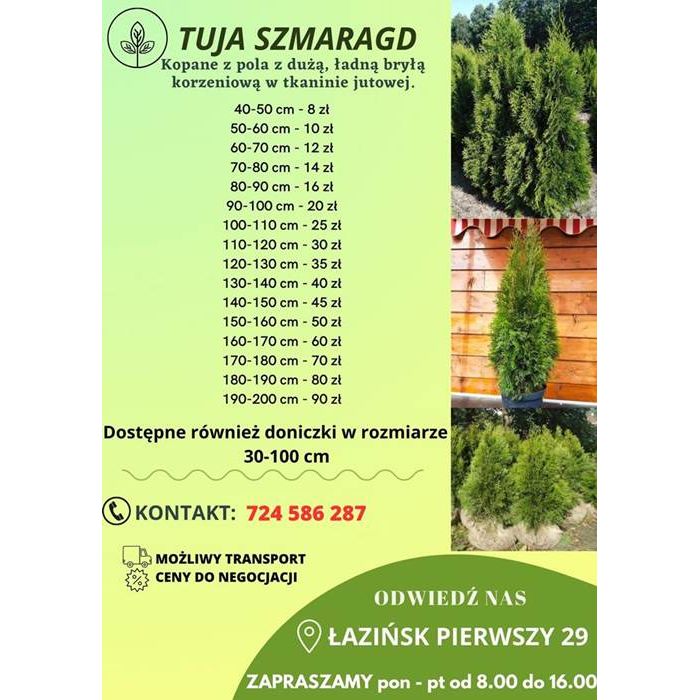 TUJE SZMARAGD DETAL/HURT cała Polska