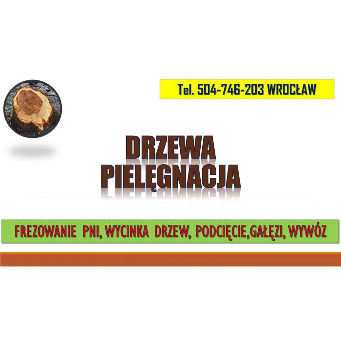 Frezowanie pni, cena, tel. 504-746-203, Wrocław, usunięcie pnia.  Usuwanie pni drzew