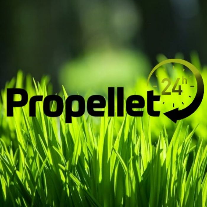Pellet Rezult 6 mm Propellet24 Opole