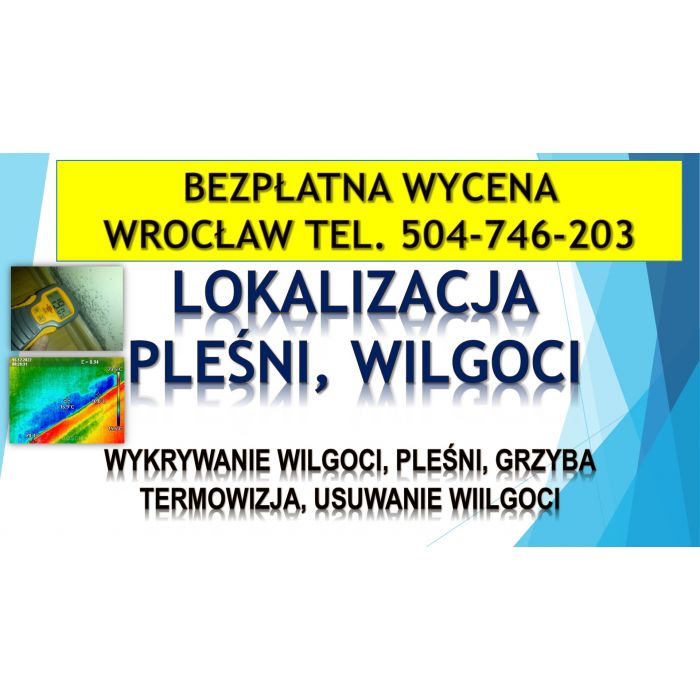 Wykrycie pleśni, tel. 504-746-203. Wrocław, wykrywanie, pleśń, grzyb i wilgoć, lokalizacja i osuszanie, cennik.