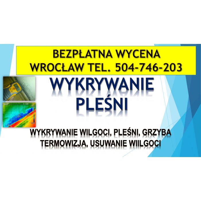 Wykrycie pleśni, tel. 504-746-203. Wrocław, wykrywanie, pleśń, grzyb i wilgoć, lokalizacja i osuszanie, cennik.