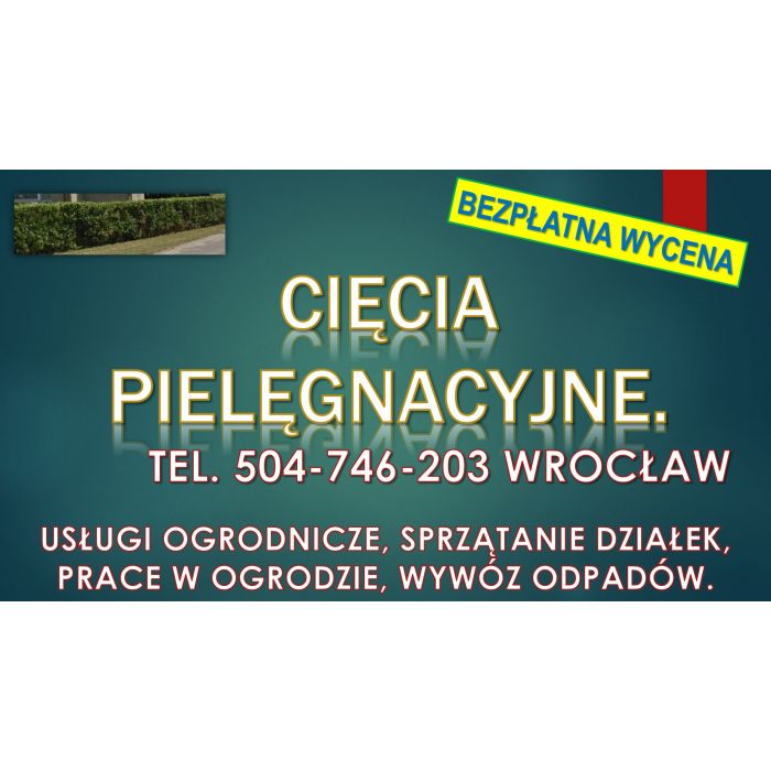 Obcięcie żywopłotu, tel. 504-746-203, Wrocław, cena.  Skrócenie i przycinanie