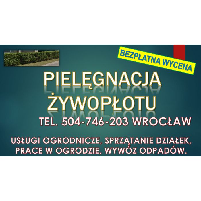 Obcięcie żywopłotu, tel. 504-746-203, Wrocław, cena.  Skrócenie i przycinanie