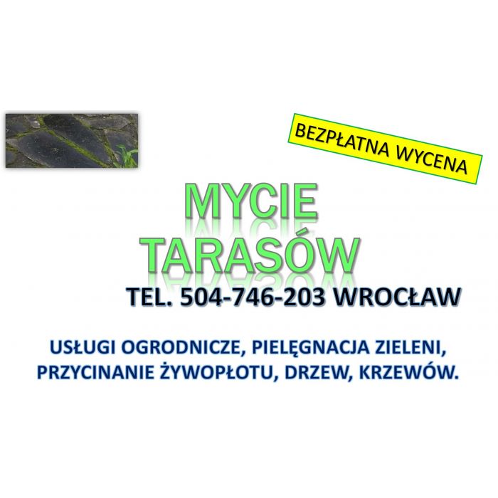 Usuwanie mchu z kostki, Wrocław, tel. 504-746-203. Czyszczenie kostki brukowej, cena.