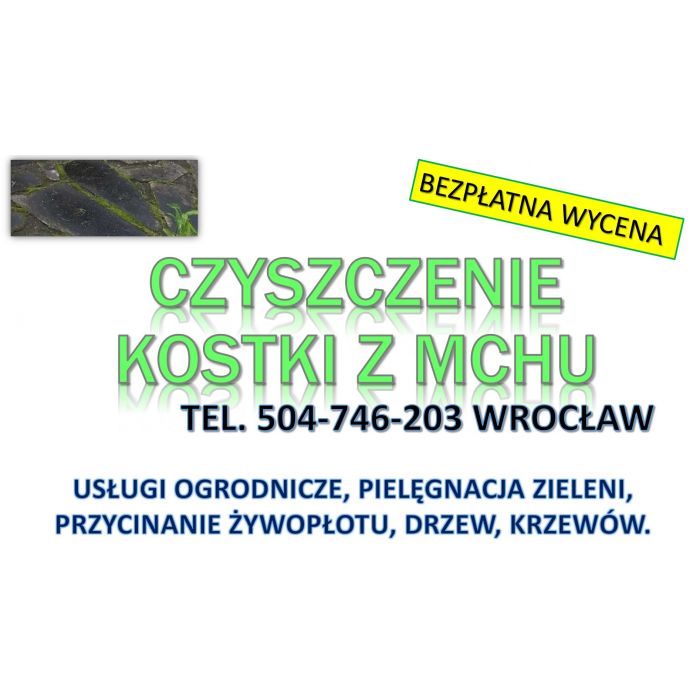 Usuwanie mchu z kostki, Wrocław, tel. 504-746-203. Czyszczenie kostki brukowej, cena.