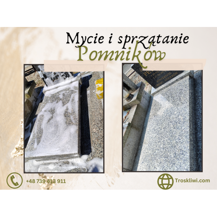 Mycie i sprzątanie pomników Nysa