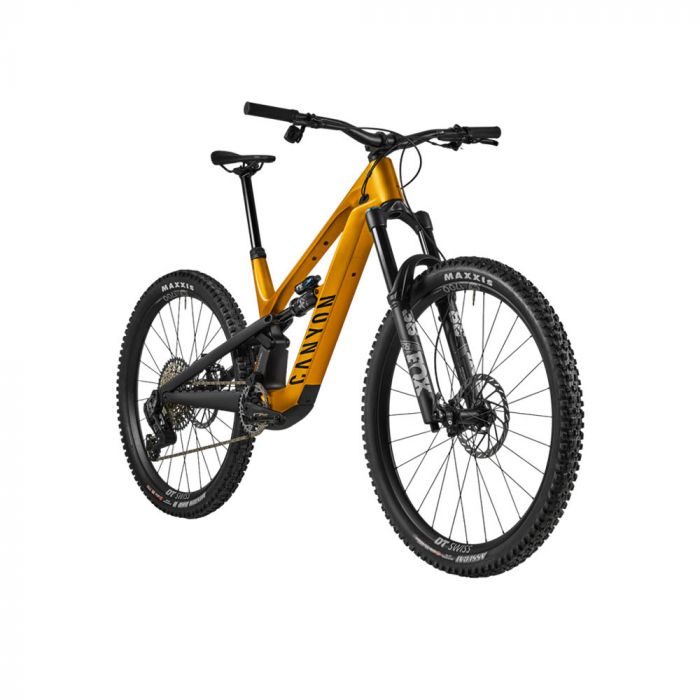 2025 Canyon Spectral:ONfly CF CLLCTV Mountain Bike (WAREHOUSEBIKE)