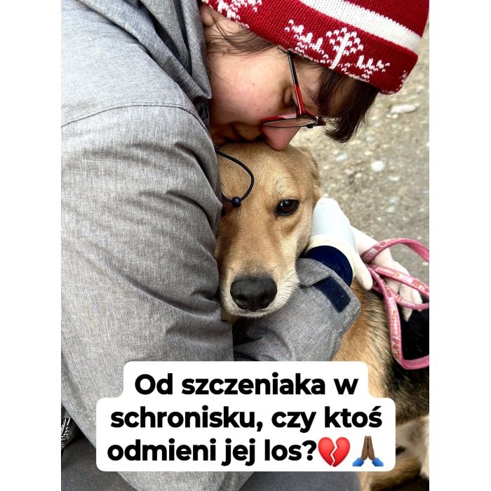 Kira - cudowna suczka od szczeniaka w schronisku!