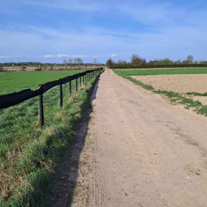 Na sprzedaż działka z warunkami zabudowy w Eufeminowie