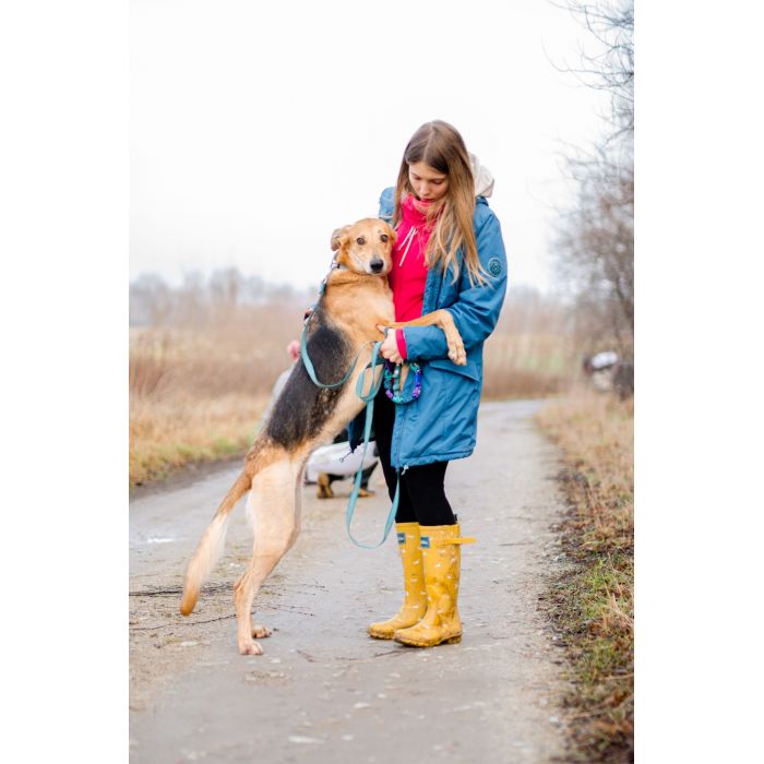 Stella - cudowna suczka za kratami, adoptuj!