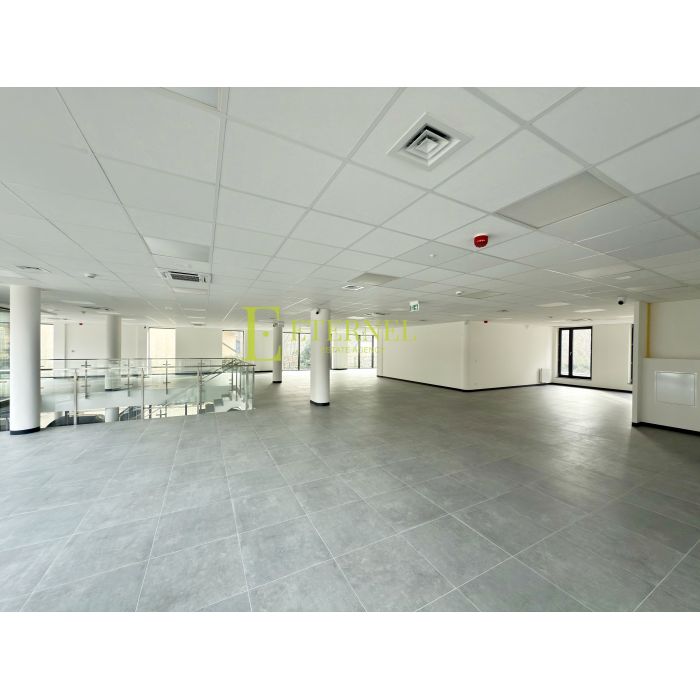 Duży lokal handlowy do wynajęcia przy Al. Jana Pawła II – 467,57 m²