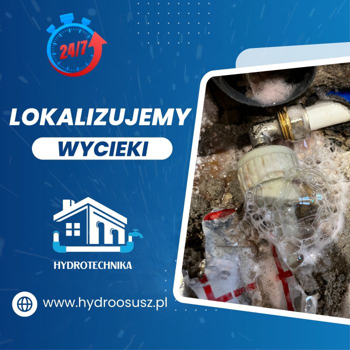 Skuteczne osuszanie budynków