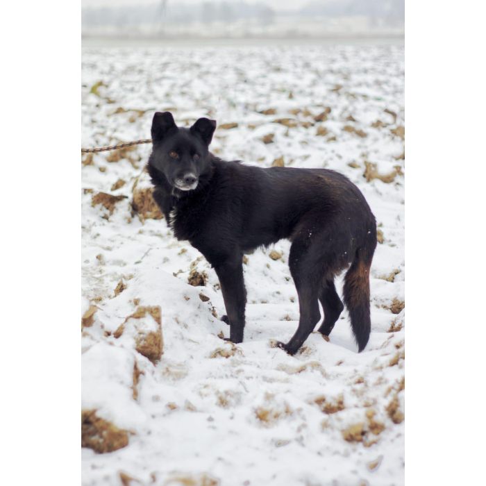 Bunia- kolejna ofiara podłości człowieka...