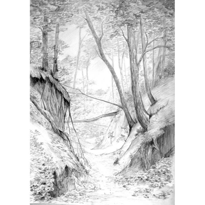 Kurs Rysunku w Ferie Zimowe 2026 w Pracowni Elipsa