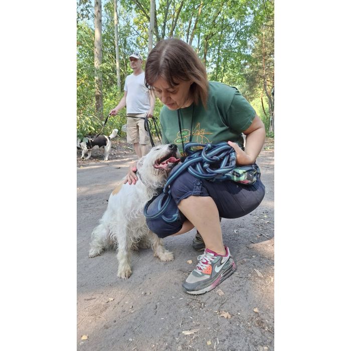 Nero - wyjątkowy pies szuka kochającego domu