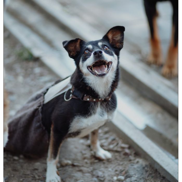 Natka - mała wojowniczka o wielkim sercu!